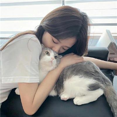 新城猎人